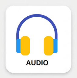 AUDIO